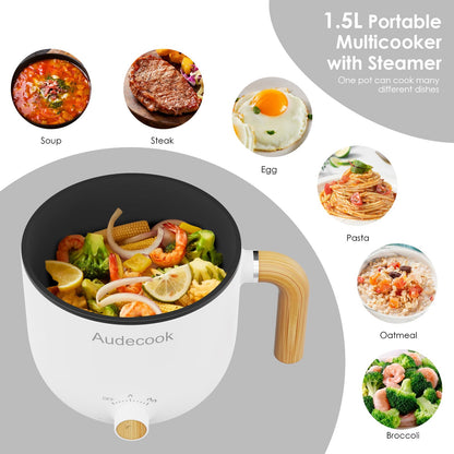 18cm 3in1 Elextric Pot